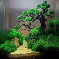 Aquascape Ide captura de pantalla 2