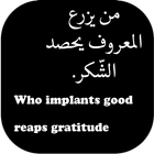 Arabic English Quotes ❤️️ icône