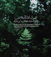 Arabic Quotes poster