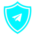 Free Proxy For Telegram icône