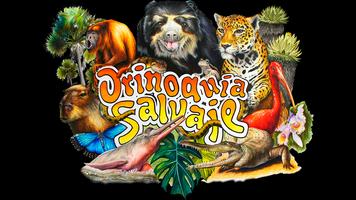 Orinoquia Salvaje Affiche