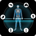Xray Scanner and Anatomy