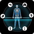 Scanner à rayons X et anatomie icône