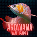 Arowana Fish wallpaper