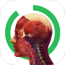 Arloon Anatomy APK