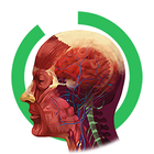 Arloon Anatomy AR icon
