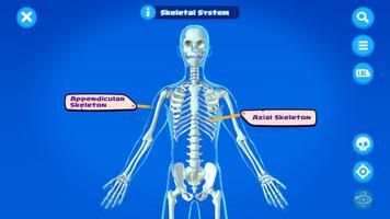 U.S. Army STARS Anatomy plakat