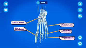 U.S. Army STARS Anatomy اسکرین شاٹ 1