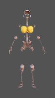 Inside Her: 3D Anatomy App 截圖 1