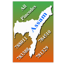 Assam State Pin Code List APK