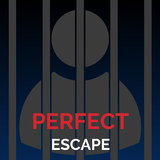 Perfect Escape icon
