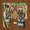 Sliding Puzzle Ultimate icon