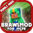 Brawl Craft Star for Minecraft APK