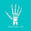 Anatomy 3D