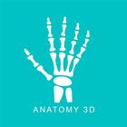 Anatomy 3D icon