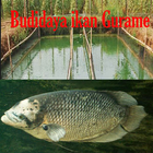 aquaculture Gurame icône