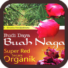 Budidaya Buah Naga ไอคอน