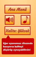 Türk Tarihi تصوير الشاشة 1