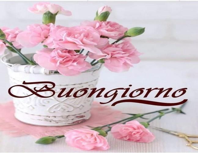 Buongiorno Con I Fiori E Di Rose For Android Apk Download