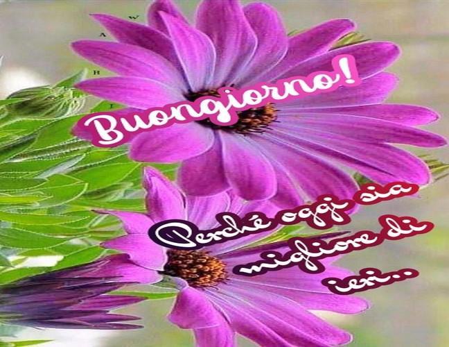 Buongiorno Con I Fiori E Di Rose For Android Apk Download
