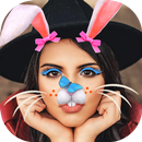 قناع الارنب ملصقات الصور APK