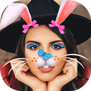 Masque de Lapin Autocollant Photo APK