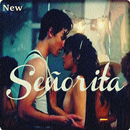 Camilla Cabelo ||  Señorita (feat. Shawn Mendes) APK