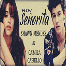 Shawn Mendes - Señorita (ft. Camila Cabello) APK