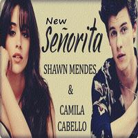 Shawn Mendes - Señorita (ft. Camila Cabello) plakat