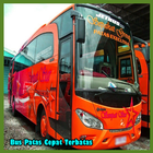 Autobus Patas Fond d'écran icône