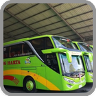 Limited Patas Bus icon