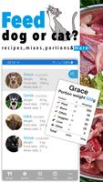 Dog and cat raw food calc, log poster