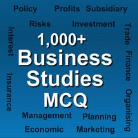 Business Studies MCQ Affiche