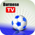 Burmese TV 아이콘