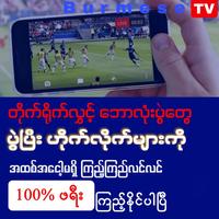 Burmese TV ポスター