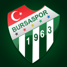 Bursaspor icône