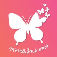 AR Bangkok Butterfly Garden & Insectarium poster