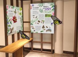 AR Bangkok Butterfly Garden & Insectarium syot layar 1