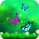 Butterfly Wallpaper HD APK