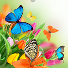 Butterfly Live Wallpaper ไอคอน