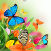 Icona Butterfly Live Wallpaper