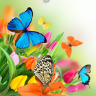 Butterfly Live Wallpaper 圖標