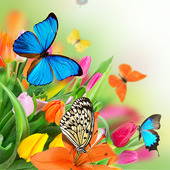 Butterfly Live Wallpaper ikon