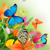 Butterfly Live Wallpaper أيقونة