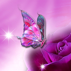 Butterfly Live Wallpaper آئیکن