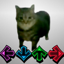 APK Oiia Oiia Spinning Cat Piano