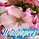 APK Flower Wallpaper Images
