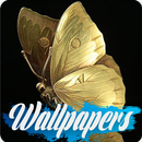 APK Gold Wallpaper Images