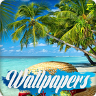 Palm Tree Wallpaper Images icon