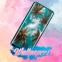 Palm Tree Wallpaper Images poster